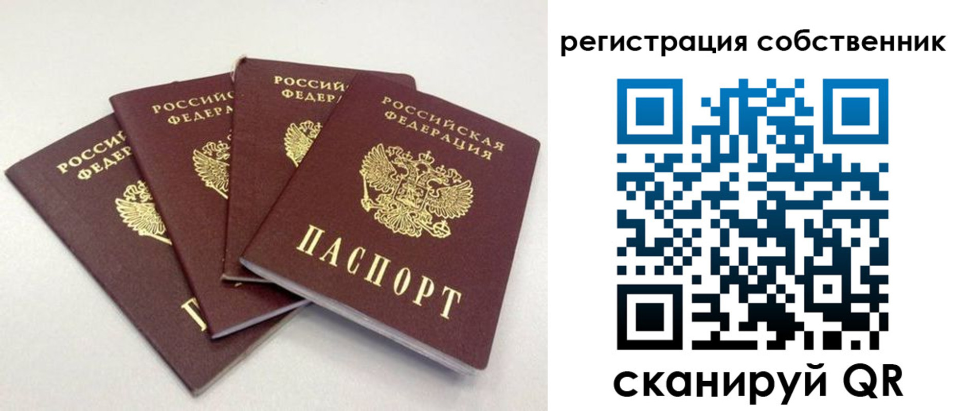 прописка для школы в Каменск-Шахтинском